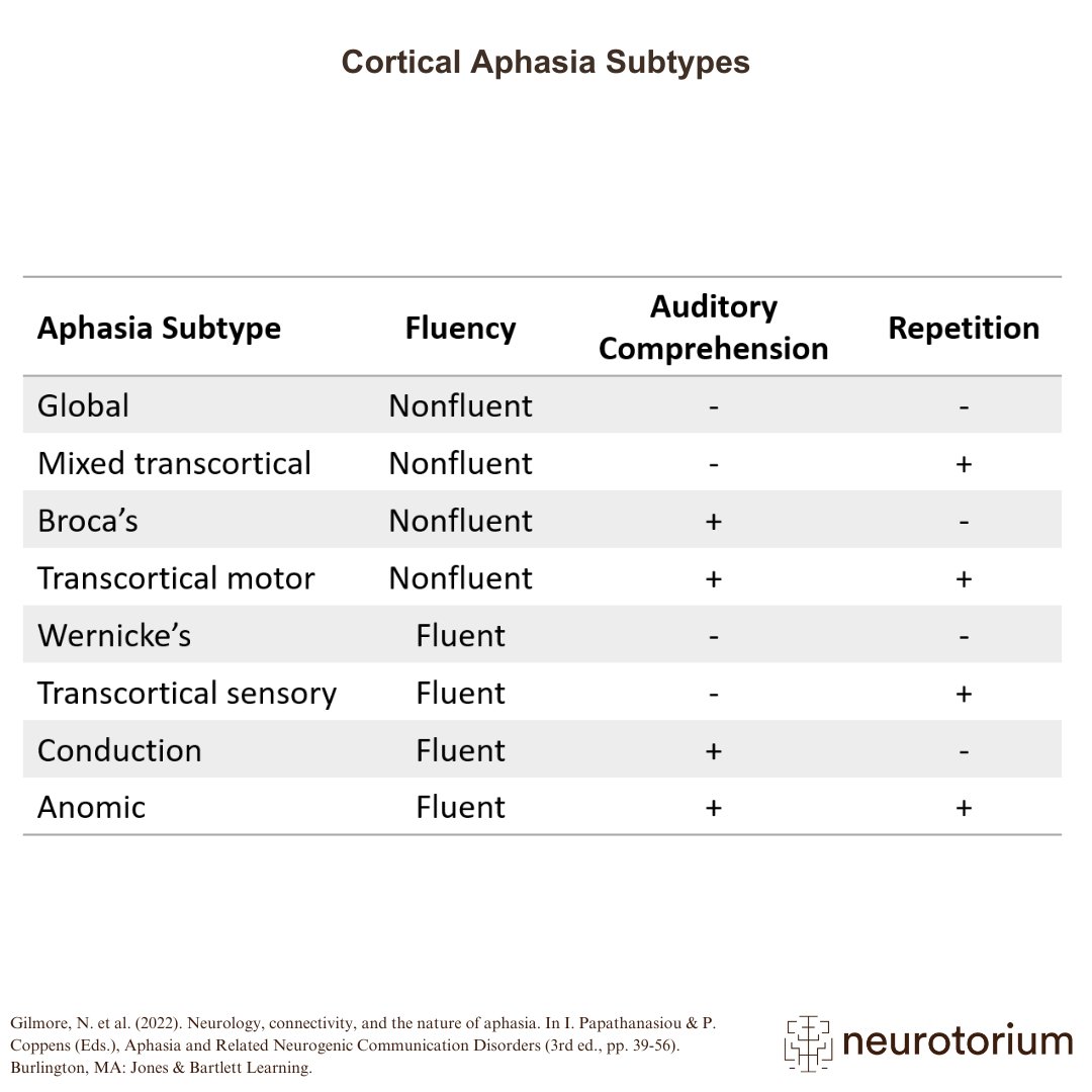 Diagram on Cortical aphasia subtypes
