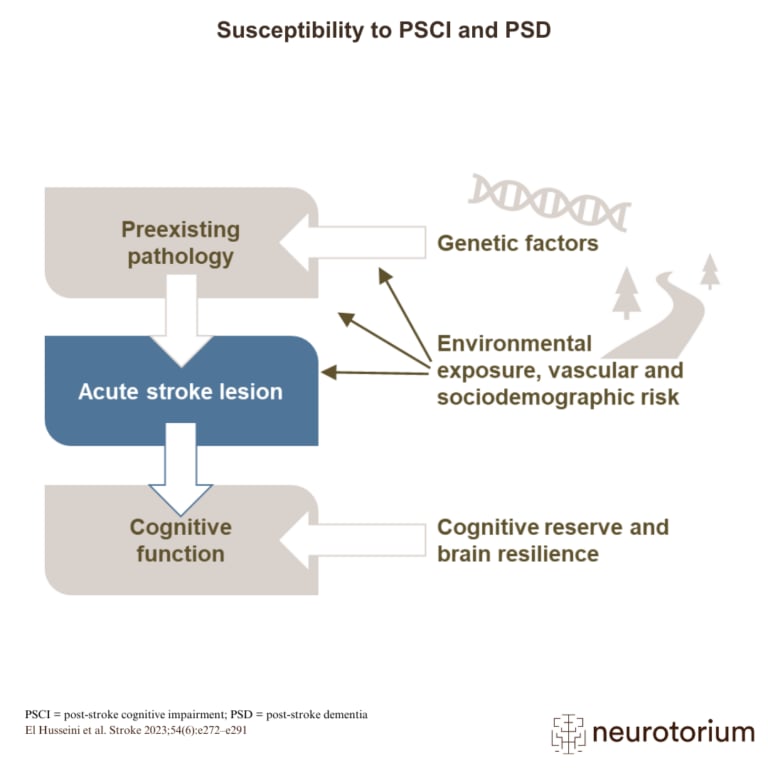The development of cognitive impairment or dementia after stroke can be conceptualized as a balance between the impact of stroke lesions and preexisting pathology against the protective elements of cognitive reserve and brain resilience.