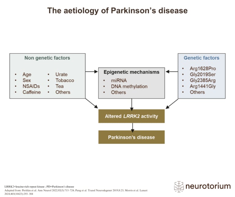 Diagram showing how genetic factors, non-genetic factors, and epigenetic mechanisms interact to alter LRRK2 activity and contribute to Parkinson’s disease.