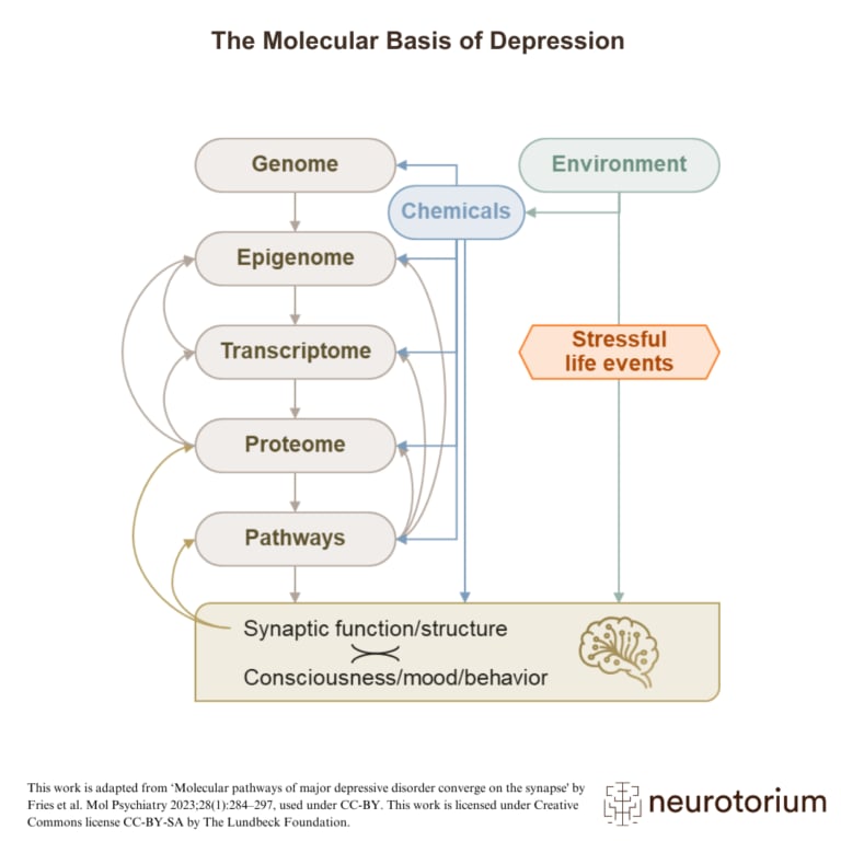 Diagram illustrating how genome, epigenome, and environmental factors interact through molecular pathways to influence synaptic function and behavior in depression.