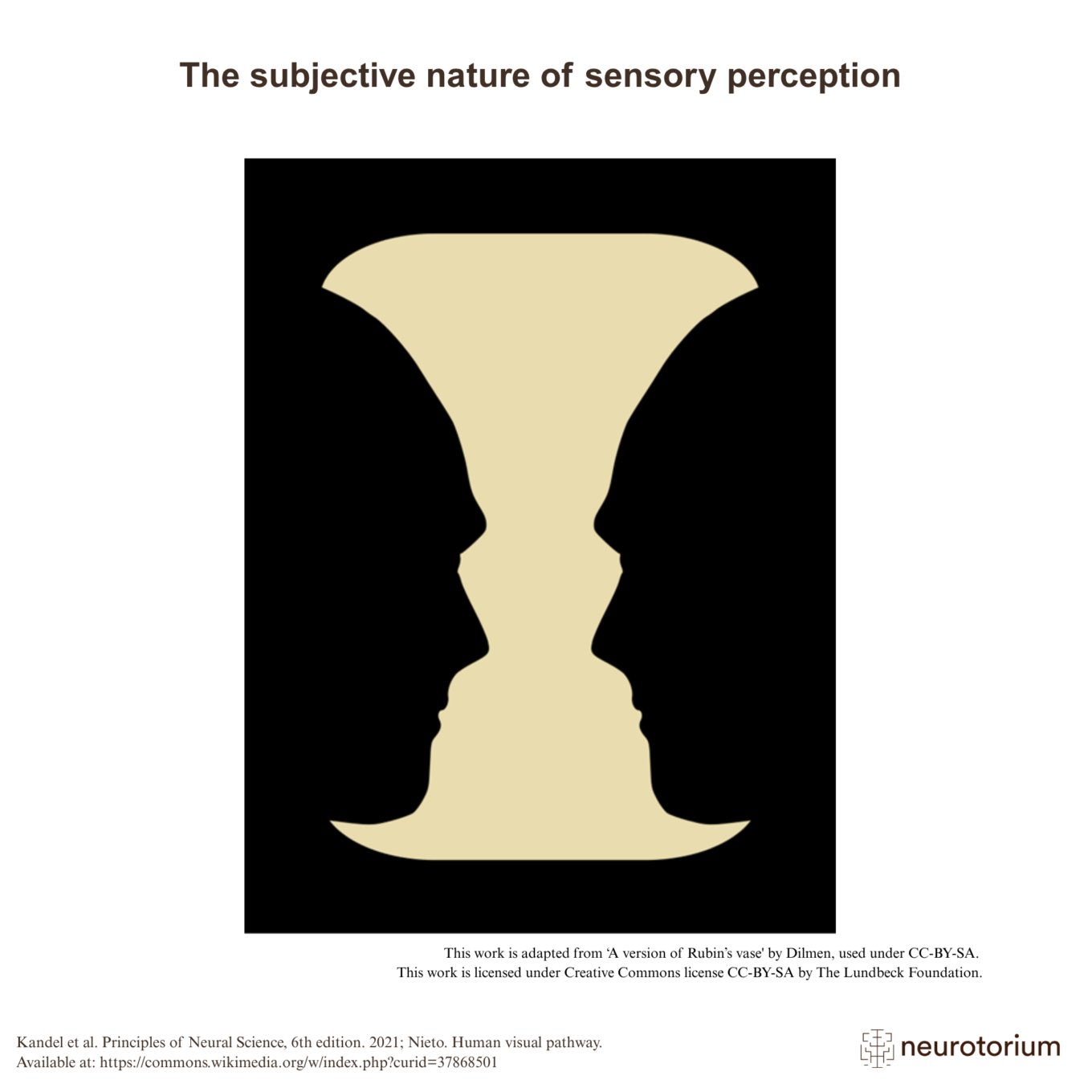 The subjective nature of sensory perception