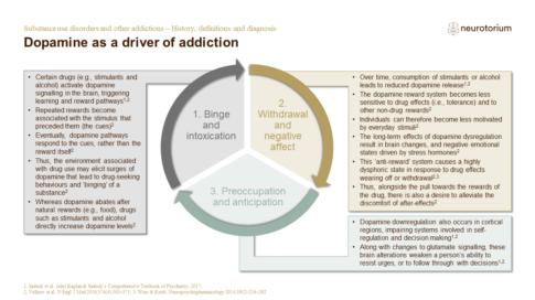 Addiction 1 History Definitions And Diagnosis NT Slide13