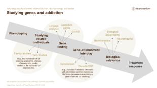 Addiction 2 Epidemiology And Burden FINAL Slide22