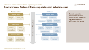 Addiction 2 Epidemiology And Burden FINAL Slide24