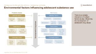 Addiction 2 Epidemiology And Burden FINAL Slide24
