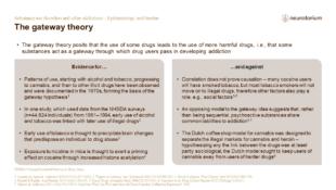 Addiction 2 Epidemiology And Burden FINAL Slide26