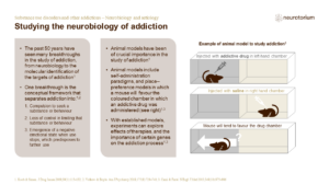 Substance use disorders and other addictions - Neurobiology and aetiology - slide2