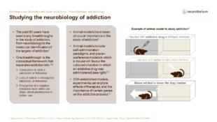 Substance use disorders and other addictions – Neurobiology and aetiology – slide2