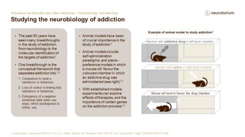 Substance use disorders and other addictions – Neurobiology and aetiology – slide2