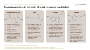 Substance use disorders and other addictions - Neurobiology and aetiology - slide6