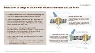 Substance use disorders and other addictions – Neurobiology and aetiology – slide8