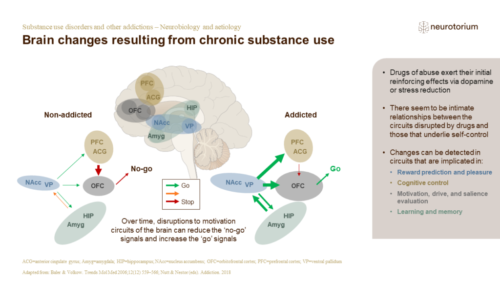 Substance use disorders and other addictions - Neurobiology and aetiology - slide9