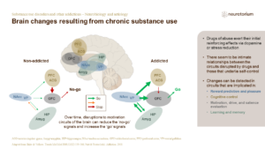 Substance use disorders and other addictions - Neurobiology and aetiology - slide9