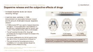 Substance use disorders and other addictions – Neurobiology and aetiology – Slide13