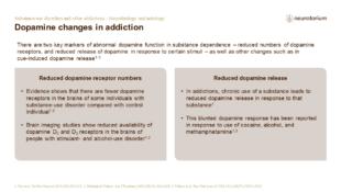 Substance use disorders and other addictions – Neurobiology and aetiology – Slide14