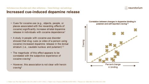 Substance use disorders and other addictions – Neurobiology and aetiology – Slide15