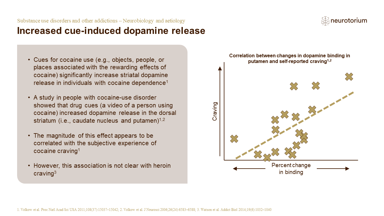 Substance use disorders and other addictions – Neurobiology and aetiology – Slide15