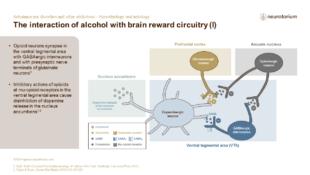 Substance use disorders and other addictions – Neurobiology and aetiology – Slide25
