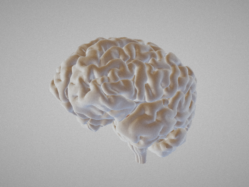 Interactive Brain Atlas 1