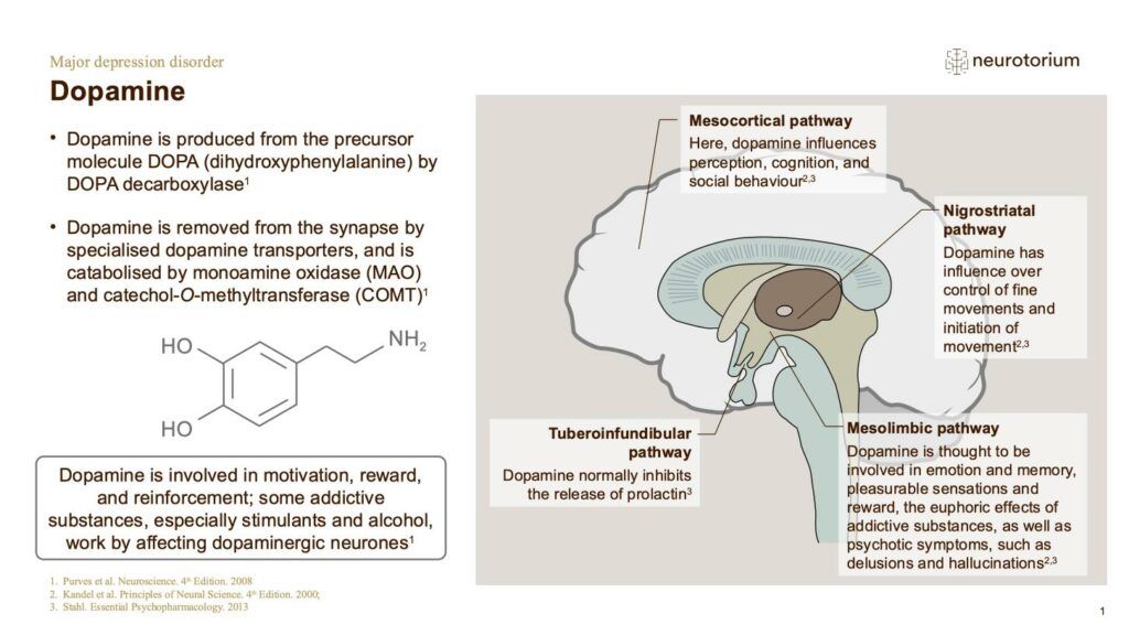 Major Depressive Disorder - Neurobiology and Aetiology - Neurotorium