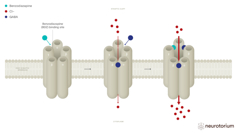 This image illustrates the Mechanism of Action of the Benzodiazepines