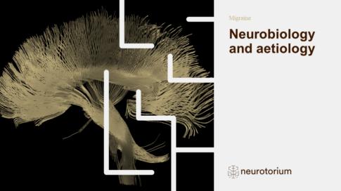 Migraine 3 Neurobiology And Aetiology Slide 1