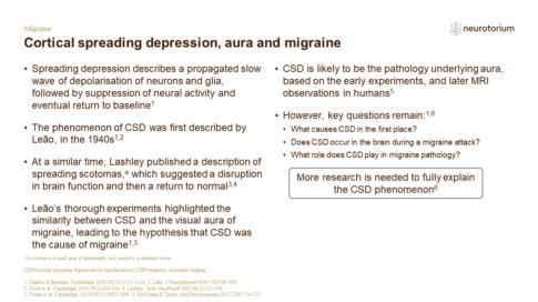 Migraine 3 Neurobiology And Aetiology Slide 12