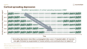 Cortical spreading depression
