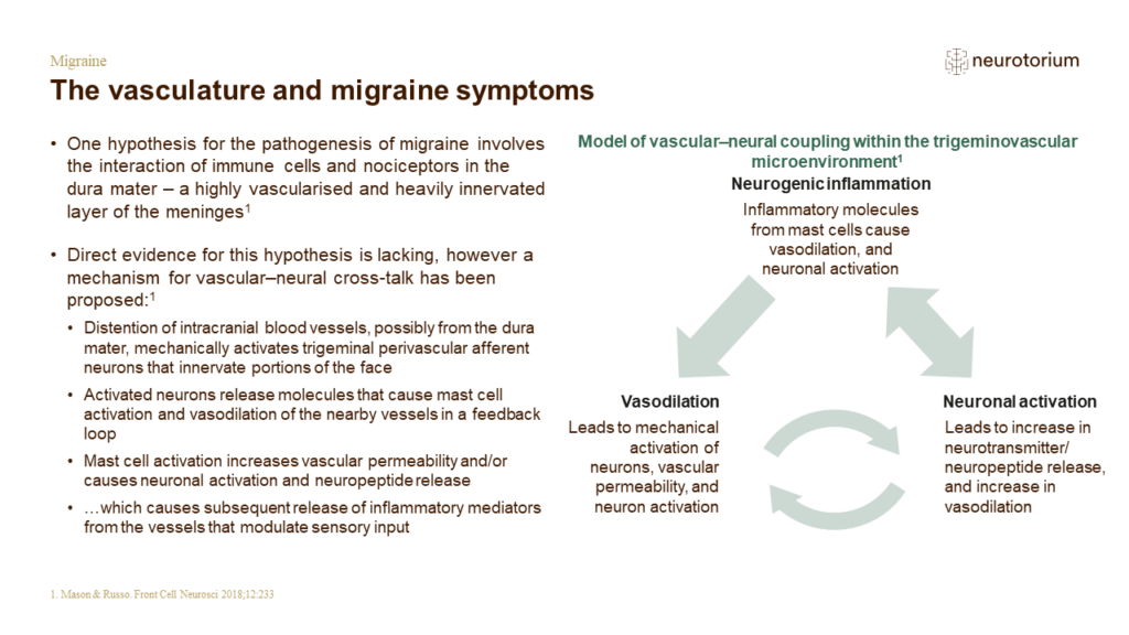 The vasculature and migraine symptoms