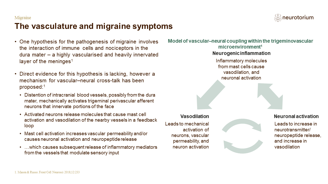 Migraine 3 Neurobiology And Aetiology Slide 16