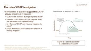 Migraine 3 Neurobiology And Aetiology Slide 20
