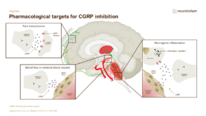 Pharmacological targets for CGRP inhibition