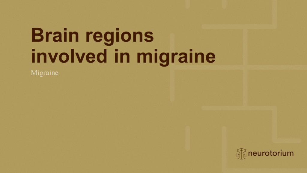 Brain regions involved in migraine