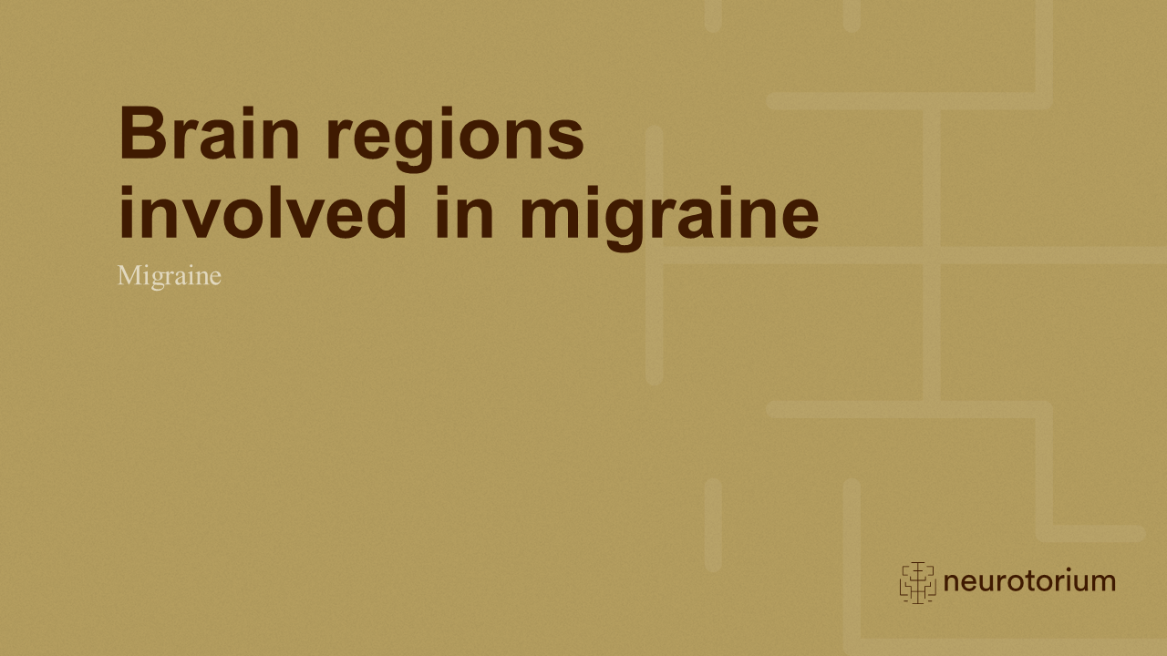 Migraine 3 Neurobiology And Aetiology Slide 23
