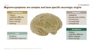 Migraine 3 Neurobiology And Aetiology Slide 26