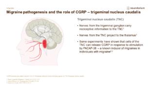 Migraine 3 Neurobiology And Aetiology Slide 28
