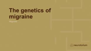 Migraine 3 Neurobiology And Aetiology Slide 33