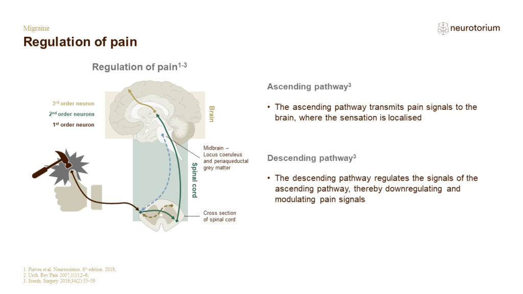 Regulation of pain