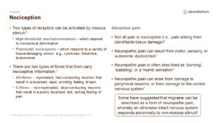 Migraine 3 Neurobiology And Aetiology Slide 8