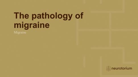 Migraine 3 Neurobiology And Aetiology Slide 9