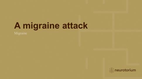 Migraine 4 Course Natural History And Prognosis 20 Feb 22NT Slide4