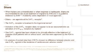 Migraine Treatment Principles Slide13