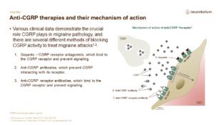 Migraine Treatment Principles Slide23