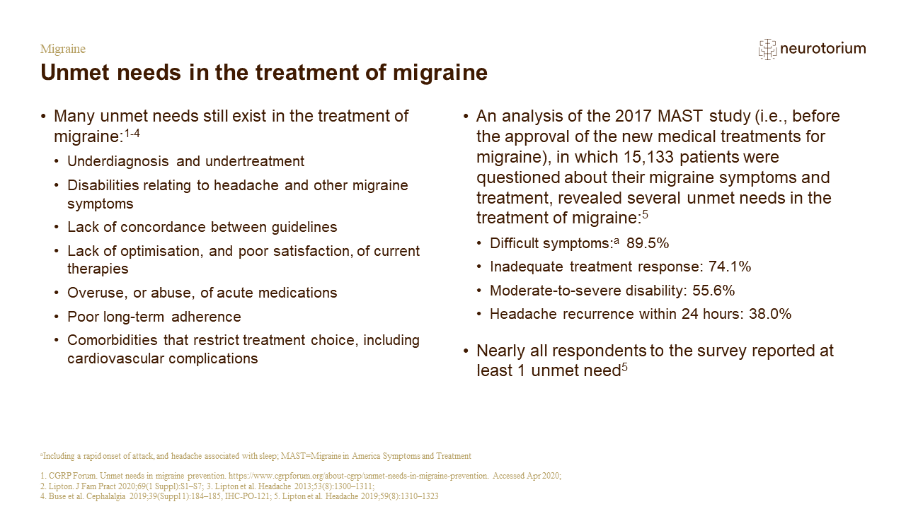 Migraine Treatment Principles Slide29
