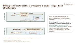 Migraine Treatment Principles Slide8