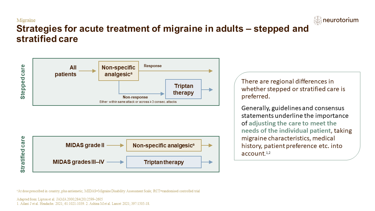 Migraine Treatment Principles Slide8