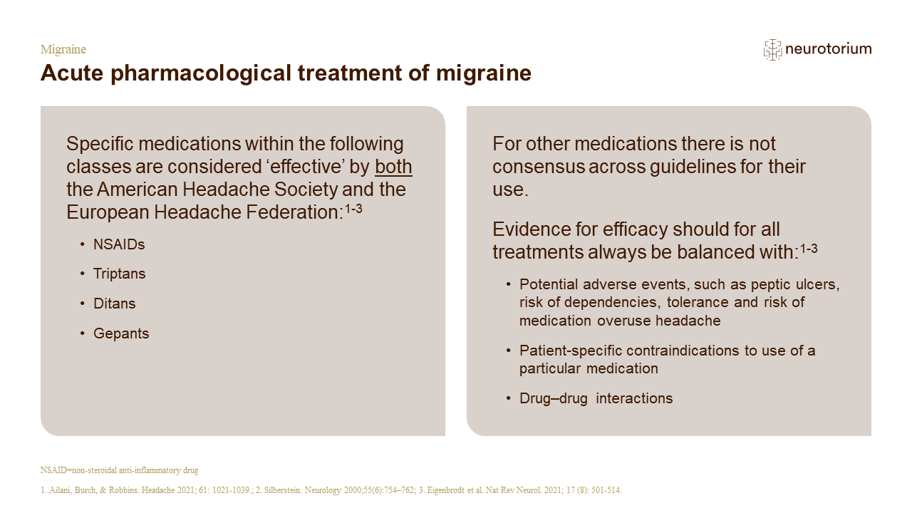 Migraine Treatment Principles Slide9