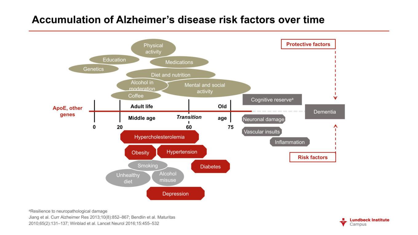 Accumulation Of Alzheimers Disease Risk Factors Over Time - Neurotorium