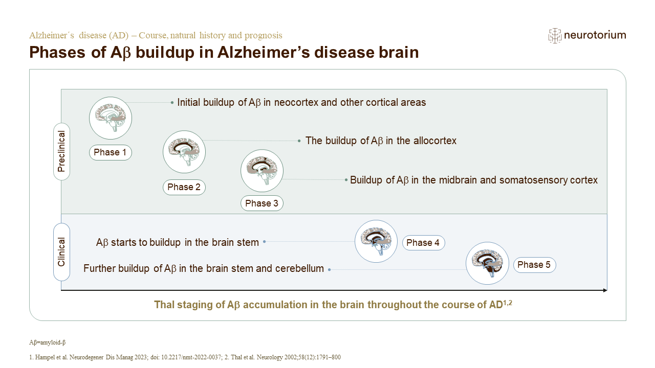 Phases of Aβ buildup in Alzheimer’s disease brain