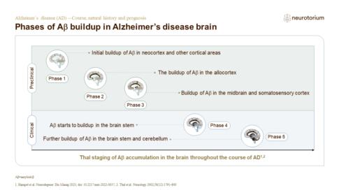 Alzheimer's Disease - Course, natural history and prognosis - Neurotorium